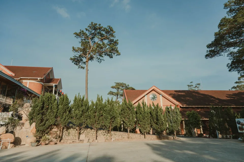 Không gian Trần Thị Hạnh